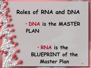 Roles of RNA and DNA DNA  is the MASTER PLAN  RNA  is the BLUEPRINT of the Master Plan 