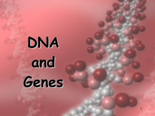 DNA and Genes 