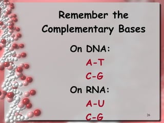 Remember the Complementary Bases On DNA: A-T C-G On RNA: A-U C-G 
