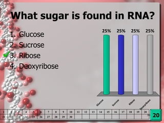 What sugar is found in RNA? Glucose Sucrose Ribose Deoxyribose  20 1 2 3 4 5 6 7 8 9 10 11 12 13 14 15 16 17 18 19 20 21 22 23 24 25 26 27 28 29 30 