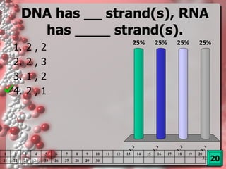 DNA has __ strand(s), RNA has ____ strand(s). 2 , 2 2 , 3 1 , 2 2 , 1 20 1 2 3 4 5 6 7 8 9 10 11 12 13 14 15 16 17 18 19 20 21 22 23 24 25 26 27 28 29 30 