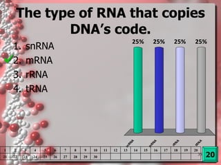 The type of RNA that copies DNA’s code. snRNA mRNA rRNA tRNA 20 1 2 3 4 5 6 7 8 9 10 11 12 13 14 15 16 17 18 19 20 21 22 23 24 25 26 27 28 29 30 