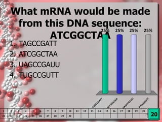 What mRNA would be made from this DNA sequence: ATCGGCTAA TAGCCGATT ATCGGCTAA UAGCCGAUU TUGCCGUTT 20 1 2 3 4 5 6 7 8 9 10 11 12 13 14 15 16 17 18 19 20 21 22 23 24 25 26 27 28 29 30 