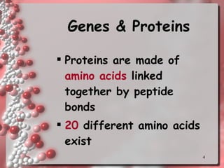 Genes & Proteins Proteins are made of  amino acids  linked together by peptide bonds 20  different amino acids exist 