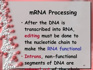 mRNA Processing After the DNA is transcribed into RNA,  editing  must be done to the nucleotide chain to make the  RNA functional Introns , non-functional segments of DNA are  snipped out  of the chain  