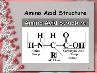 Amino Acid Structure 