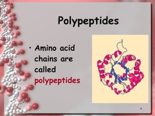 Polypeptides Amino acid chains are called  polypeptides 