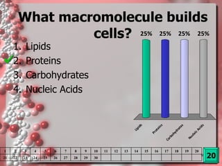 What macromolecule builds cells? Lipids Proteins Carbohydrates Nucleic Acids 20 1 2 3 4 5 6 7 8 9 10 11 12 13 14 15 16 17 18 19 20 21 22 23 24 25 26 27 28 29 30 