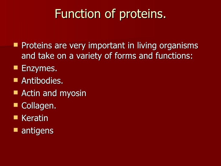 PROTEINS