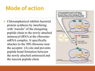 Mode of action
 Chloramphenicol inhibits bacterial
protein synthesis by interfering
with ‘transfer’ of the elongating
peptide chain to the newly attached
aminoacyl-tRNA at the ribosome-
mRNA complex. It specifically
attaches to the 50S ribosome near
the acceptor (A) site and prevents
peptide bond formation between
the newly attached aminoacid and
the nascent peptide chain
 