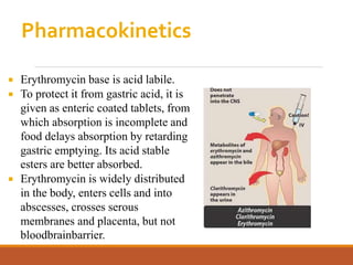 Pharmacokinetics
 Erythromycin base is acid labile.
 To protect it from gastric acid, it is
given as enteric coated tablets, from
which absorption is incomplete and
food delays absorption by retarding
gastric emptying. Its acid stable
esters are better absorbed.
 Erythromycin is widely distributed
in the body, enters cells and into
abscesses, crosses serous
membranes and placenta, but not
bloodbrainbarrier.
 