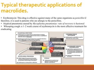 Typical therapeutic applications of
macrolides.
• Erythromycin: This drug is effective against many of the same organisms as penicillin G
therefore, it is used in patients who are allergic to the penicillins.
• Atypical pneumonia caused by Mycoplasma pneumoniae: rate of recovery is hastened.
• Whooping cough: a 1–2 week course of erythromycin is the most effective treatment for
eradicating
 