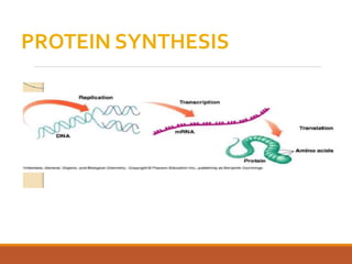 PROTEIN SYNTHESIS
 