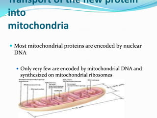 Protein targeting | PPTX