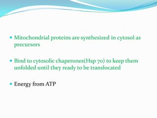 Protein targeting | PPTX