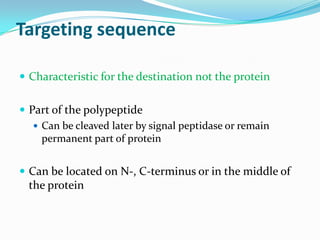 Targeting sequence
 Characteristic for the destination not the protein
 Part of the polypeptide
 Can be cleaved later by signal peptidase or remain
permanent part of protein
 Can be located on N-, C-terminus or in the middle of
the protein
 