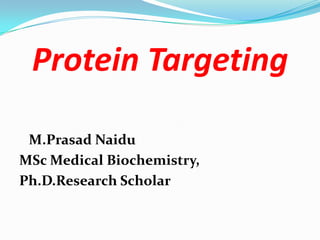 Protein Targeting
M.Prasad Naidu
MSc Medical Biochemistry,
Ph.D.Research Scholar
 