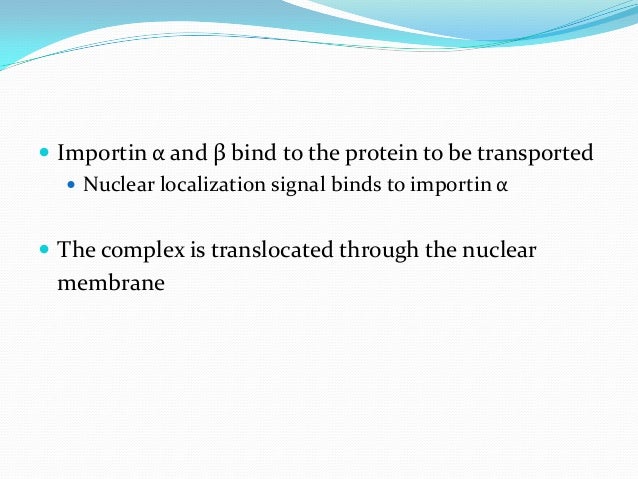 Protein Targeting