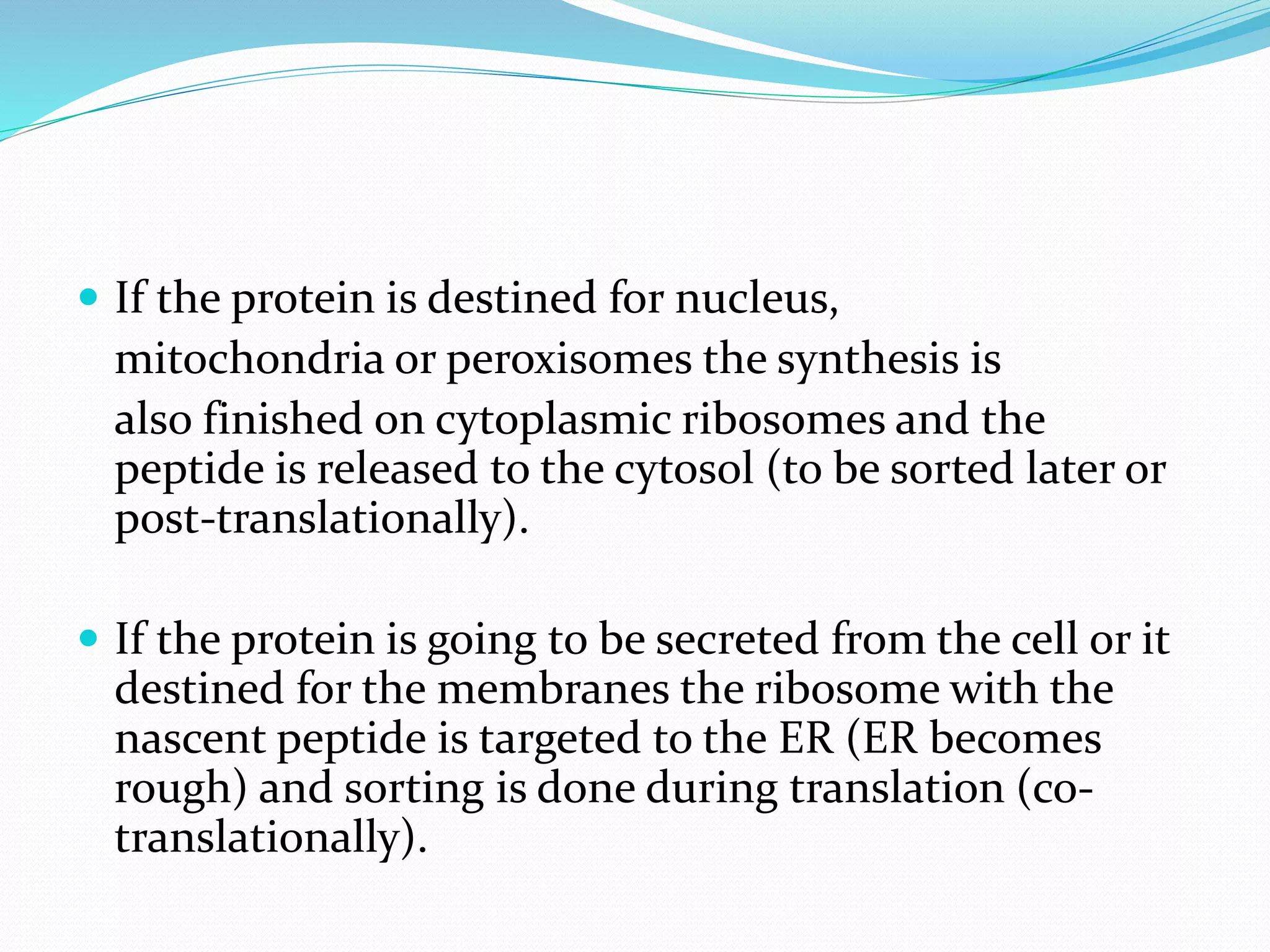  If the protein is destined for nucleus,
mitochondria or peroxisomes the synthesis is
also finished on cytoplasmic ribosomes and the
peptide is released to the cytosol (to be sorted later or
post-translationally).
If the protein is going to be secreted from the cell or it
destined for the membranes the ribosome with the
nascent peptide is targeted to the ER (ER becomes
rough) and sorting is done during translation (co-
translationally).