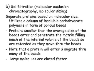 b) Gel filtration (molecular exclusion
chromatography, molecular sizing)
Separate proteins based on molecular size.
Utilizes a column of insoluble carbohydrate
polymers in form of porous beads
- Proteins smaller than the average size of the
beads enter and penetrate the matrix filling
much of the internal volume of the beads so
are retarded as they move thru the beads
- Note that a protein will enter & migrate thru
many of the beads
- large molecules are eluted faster
 