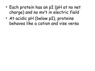 • Each protein has an pI (pH at no net
charge) and no mv’t in electric field
• At acidic pH (below pI), proteins
behaves like a cation and vise versa
 
