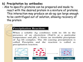 b) Precipitation by antibodies
- Abs to specific proteins can be prepared and made to
react with the desired protein in a mixture of proteins.
This interaction may produce an ab-ag cpx large enough
to be centrifuged out of solution, allowing recovery of
the protein
 