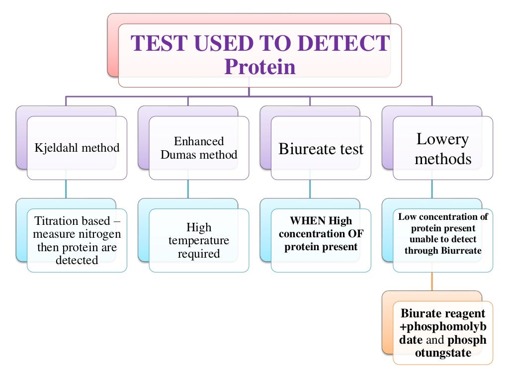 Protein test