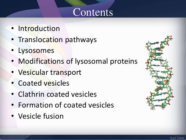 Lysosomal Signal Patch