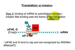 protein translation and post translational modification | PPT