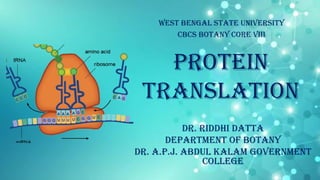PROTEIN
Translation
West Bengal State University
cbcs Botany Core viii
Dr. Riddhi Datta
Department of Botany
Dr. A.P.J. Abdul Kalam Government
College
 