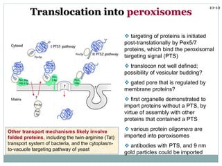 Protein transport, targeting and sorting | PPTX