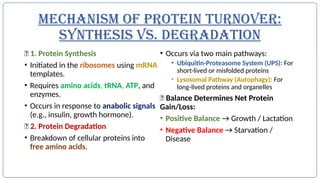 Protein Turnover and Quantification of Microbial Protein Synthesis.pptx