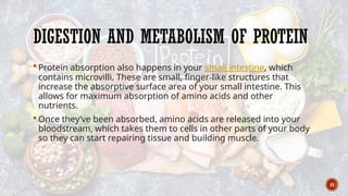 15
DIGESTION AND METABOLISM OF PROTEIN
 Protein absorption also happens in your small intestine, which
contains microvilli. These are small, finger-like structures that
increase the absorptive surface area of your small intestine. This
allows for maximum absorption of amino acids and other
nutrients.
 Once they’ve been absorbed, amino acids are released into your
bloodstream, which takes them to cells in other parts of your body
so they can start repairing tissue and building muscle.
 