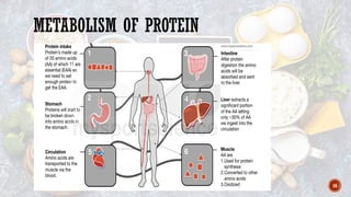 16
METABOLISM OF PROTEIN
 