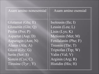 Asam amino nonesensial Asam amino esensial
Glutamat (Glu; E)
Glutamin (Gln; Q)
Prolin (Pro; P)
Aspartat (Asp; D)
Asparagin (Asn; N)
Alanin (Ala; A)
Glisin (Gly; G)
Serin (Ser; S)
Sistein (Cys; C)
Tirosine (Tyr ; Y)
Isoleusin (Ile; I)
Leusin (Leu; L)
Lisin (Lys; K)
Metionin (Met; M)
Fenilalanin (Phe; F)
Treonin (Thr; T)
Triptofan (Trp; W)
Valin (Val; V)
Arginin (Arg; R)
Histidin (His; H)
 