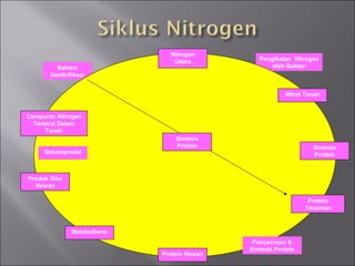 Bakteri
Denitrifikasi
Pengikatan Nitrogen
oleh Bakteri
Nitrogen
Udara
Protein Hewan
Nitrat Tanah
Sintesis
Protein
Protein
Tanaman
Campuran Nitrogen
Terlarut Dalam
Tanah
Produk Sisa
Hewan
Metabolisme
Dekomposisi
Sintesis
Protein
Pencernaan &
Sintesis Protein
 