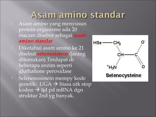  Asam amino yang menyusun
protein organisme ada 20
macam disebut sebagai asam
amino standar
 Diketahui asam amino ke 21
disebut selenosistein (jarang
ditemukan) Terdapat di
beberapa enzim seperti
gluthatione peroxidase
 Selenenosistein mempy kode
genetik: UGA  biasa utk stop
kodon  tjd pd mRNA dgn
struktur 2nd yg banyak.
 