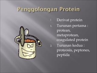  Derivat protein
1. Turunan pertama :
protean,
metaprotean,
coagulated protein
2. Turunan kedua :
proteosis, peptones,
peptida
 