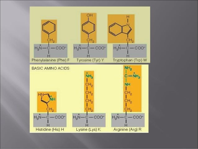 multipass protein