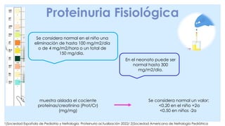 Proteinuria Fisiológica
1)Sociedad Española de Pediatría y Nefrología: Proteinuria actualización 2022/ 2)Sociedad Americana de Nefrología Pediátrica
Se considera normal en el niño una
eliminación de hasta 100 mg/m2/día
o de 4 mg/m2/hora o un total de
150 mg/día.
En el neonato puede ser
normal hasta 300
mg/m2/día.
muestra aislada el cociente
proteínas/creatinina (Prot/Cr)
(mg/mg)
Se considera normal un valor:
<0,20 en el niño +2a
<0,50 en niños -2a
 