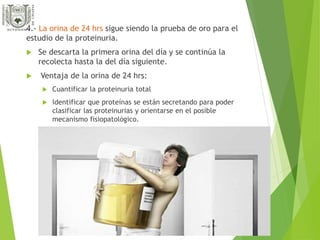 4.- La orina de 24 hrs sigue siendo la prueba de oro para el 
estudio de la proteinuria. 
 Se descarta la primera orina del día y se continúa la 
recolecta hasta la del día siguiente. 
 Ventaja de la orina de 24 hrs: 
 Cuantificar la proteinuria total 
 Identificar que proteínas se están secretando para poder 
clasificar las proteinurias y orientarse en el posible 
mecanismo fisiopatológico. 
 