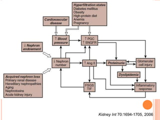 Kidney Int 70:1694-1705, 2006
 