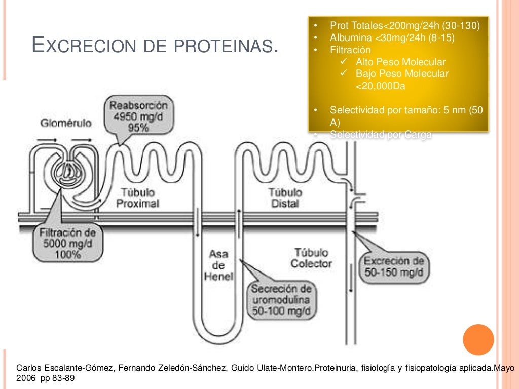 Proteinuria