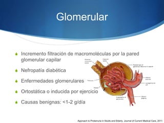 Proteinuria