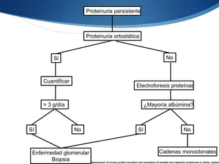 Proteinuria