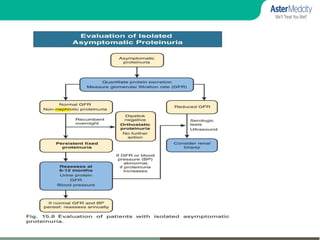 Proteinuria Algorithm Management PROTEINURIA.pdf