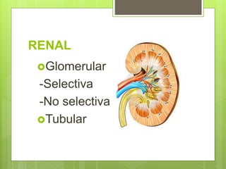 RENAL
Glomerular
-Selectiva
-No selectiva
Tubular
 