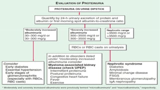 Proteinuria Algorithm Management proteinuria presentation how on approach.pptx | Blood Disorders ...