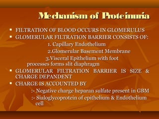 Mechanism of Proteinuria
   FILTRATION OF BLOOD OCCURS IN GLOMERULUS
   GLOMERULAR FILTRATION BARRIER CONSISTS OF:
                   1. Capillary Endothelium
                   2.Glomerular Basement Membrane
                  3.Visceral Epithelium with foot
        processes forms slit diaphragm
   GLOMERULAR FILTRATION BARRIER IS SIZE &
    CHARGE DEPANDENT
   CHARGE IS ACCOUNTED BY
          :- Negative charge heparan sulfate present in GBM
          :- Sialoglycoprotein of epithelium & Endothelium
             cell
 