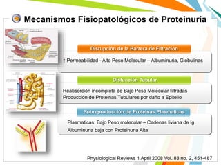 Mecanismos Fisiopatológicos de Proteinuria
Disrupción de la Barrera de Filtración
Disfunción Tubular
Sobreproducción de Proteinas Plasmaticas
Reabsorción incompleta de Bajo Peso Molecular filtradas
Producción de Proteinas Tubulares por daño a Epitelio
↑ Permeabilidad - Alto Peso Molecular – Albuminuria, Globulinas
Plasmaticas: Bajo Peso molecular – Cadenas liviana de Ig
Albuminuria baja con Proteinuria Alta
Physiological Reviews 1 April 2008 Vol. 88 no. 2, 451-487
 